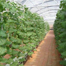 智能农业解决方案